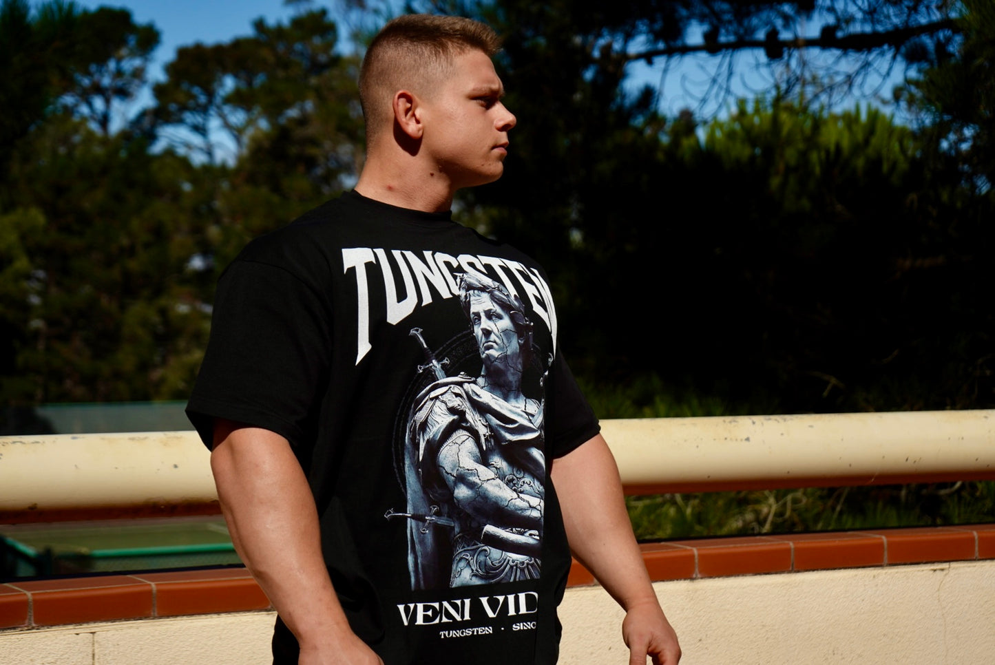 005) Veni Vidi Vici Oversized Heavyweight Tee