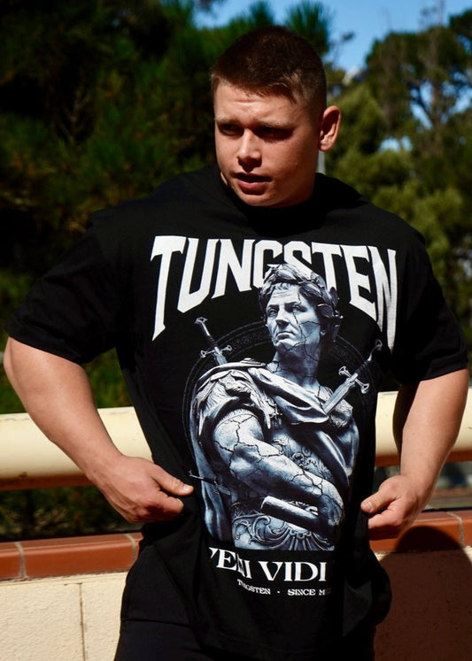 005) Veni Vidi Vici Oversized Heavyweight Tee