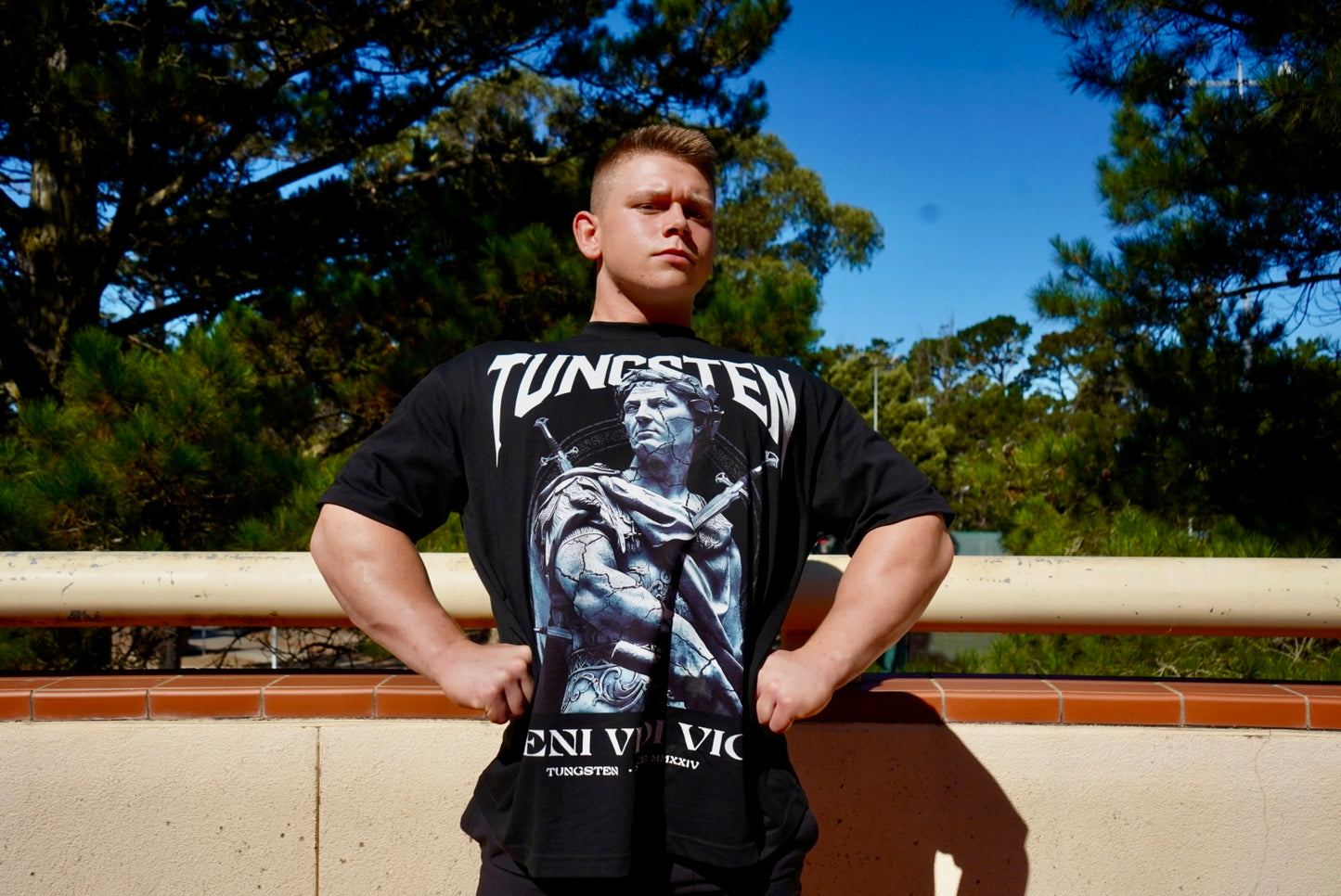 005) Veni Vidi Vici Oversized Heavyweight Tee