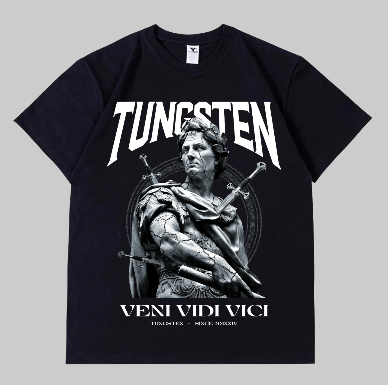005) Veni Vidi Vici Oversized Heavyweight Tee